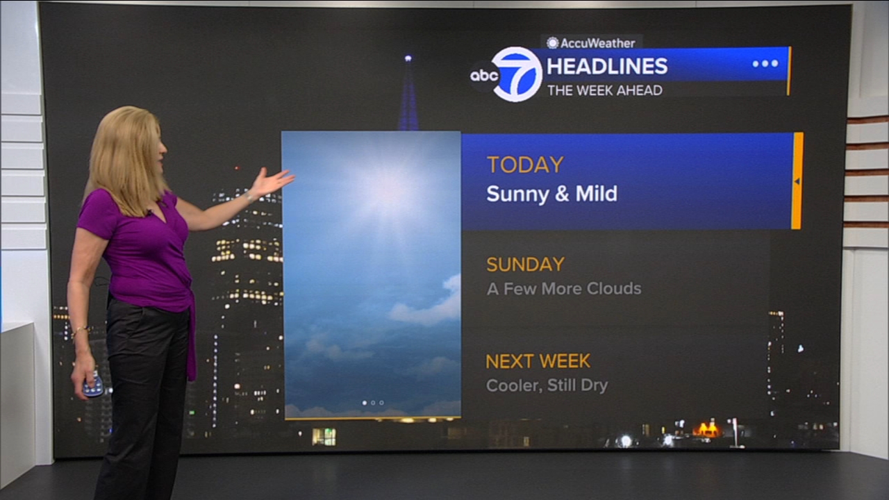AccuWeather Forecast: Sunny and mild
— ABC 7 Bay Area, Killeen Community news