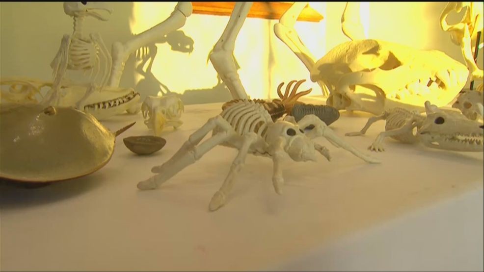 Halloween at the Castle offered day of spooky science Saturday — Fox 11 Green Bay Local, Killeen Arts news