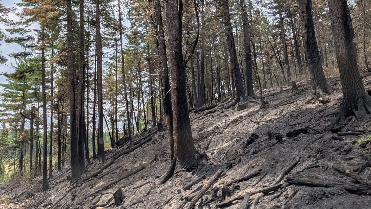 74-year-old who became separated from his family on a trail in Ely was discovered dead — KSTP 5, Killeen Community news