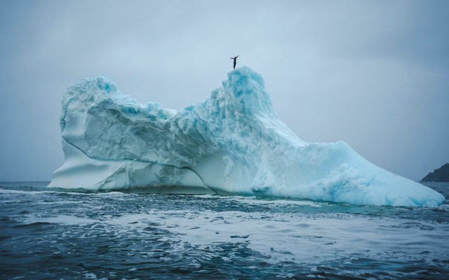 Cliff diver Molly Carson makes history, becomes first woman to dive off iceberg — WISN 12 Milwaukee, Killeen Community news