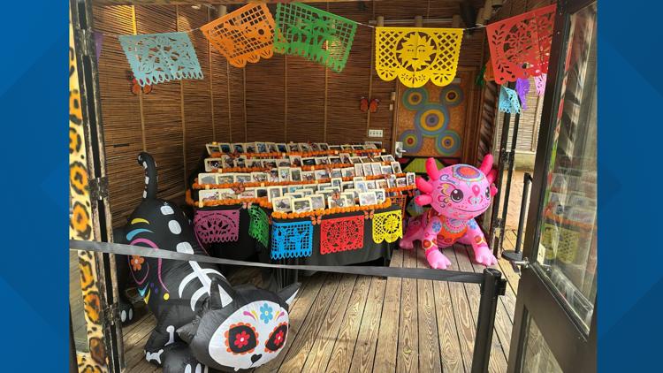 Cameron Park Zoo honoring past animals with ofrenda — Killeen Community news